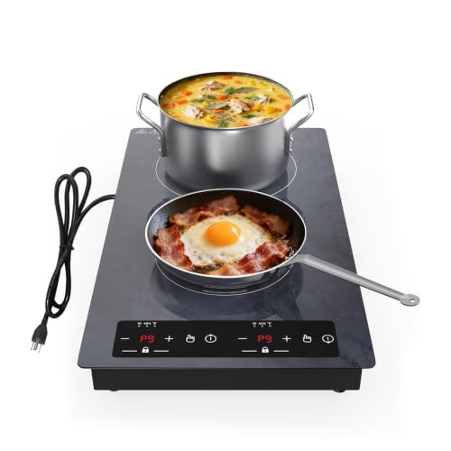 Double Induction Cooktop Portable 12-Inch