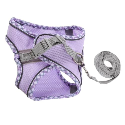 LOLIPPYY ^p߉\xXgn[lX p[ht Ǝ̃XgbvŉKtBbg RE݌v yʂŎU