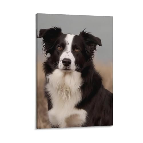 Toile murale Border Collie avec cadre 40x60 cm pour habiller vos murs vides