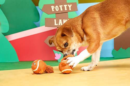 Barkbox Squeaker Ball Toys, Interactive Tennis Balls For Fetch, Training And Exercise, Engaging Plush Toys For Small, Medium, & Large Dogs (Double Trouble Squirrel Balls, Small Dog) #TOP1