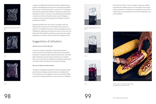 Le guide de la fermentation du Noma – vue 8