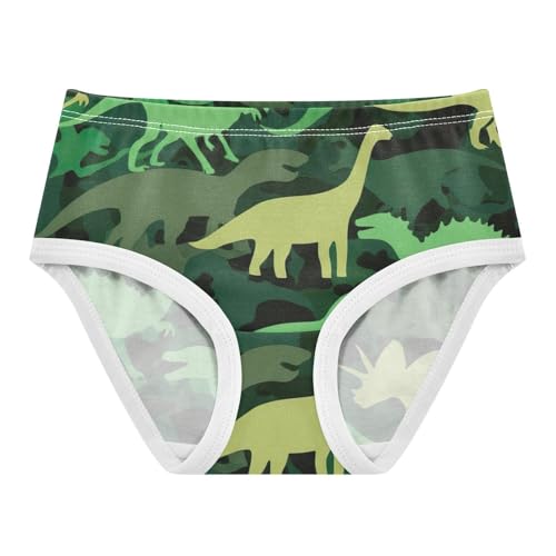 Silhouettes Dinosaurs Green Toddler Girls Underwear 2t Cotton Panties for Girl Cartoon Briefs Underpants