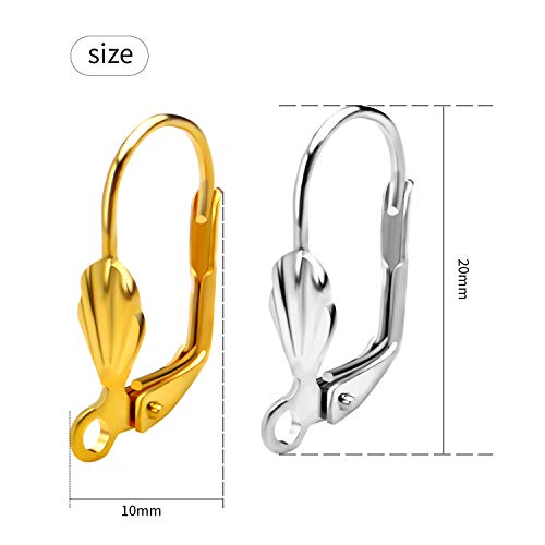Aylifu Hypoallergenic Earring Hooks, 100Pcs Brass Leverback Shell Earrings French Hook Ear Wire With Open Loop For Jewelry Making, 2 Colors #TOP4