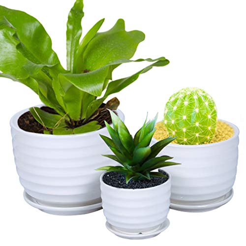 GAQUNH White Ceramic Pot Round Modern Ribbed Succulent Planter Flowers