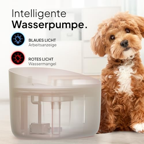Pretty Paw Trinkbrunnen für Hunde mit 7L Wassertank - Super leiser Hunde Trinkbrunnen - BPA-freier Hundebrunnen mit Filter & LED - Leicht zu reinigender Dog Wasserspender