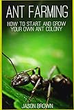 Ant Farming: How to Start and Grow Your Own Ant Colony