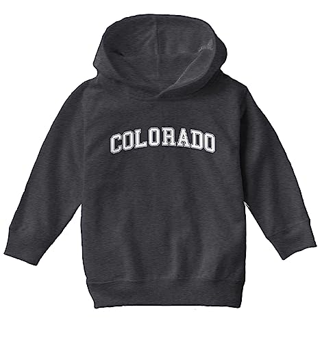 Haase Unlimited Colorado - Sports State City School Toddler/Youth Fleece Hoodie