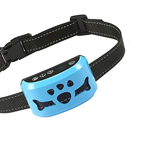 14 Best Bark Collar for Pomeranian and How to Choose Right HayFarmGuy