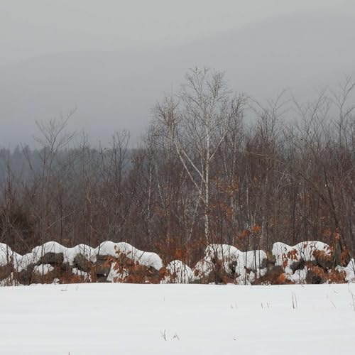 A LITTLE REPRIEVE Podcast Por  arte de portada