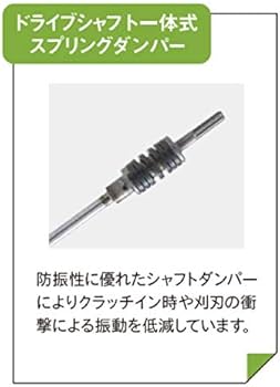 41m2tzz0DPL._AC_UF350,