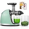AMZCHEF Juicer Machines - Cold Press Juicer - Slow Masticating for Whole Fruits and Vegetables - Delicate Chew No Need to Filter - Bright Green