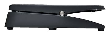 Amazon.co.jp: Fractal Audio Systems EV-1 Black Expression