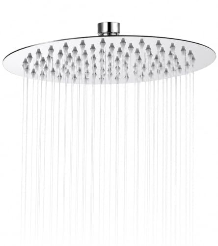 Pomme de douche de rechange chromé G1/2 avec rotule en laiton