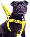 ADOPT ME Yellow Color Coded L-XL Non-pull Dog Harness (New Home Needed) Donate To Your Local Charity