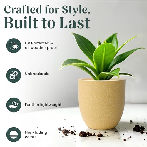 Image of YUCCABE ITALIA FOXB PCUP 10 INCH Pots for Plants Highly Durable Polymers Lightweight Indoor Outdoor Flower Pot Gamla Tree Planter Container Planters for Living Room, Balcony, Garden, Office