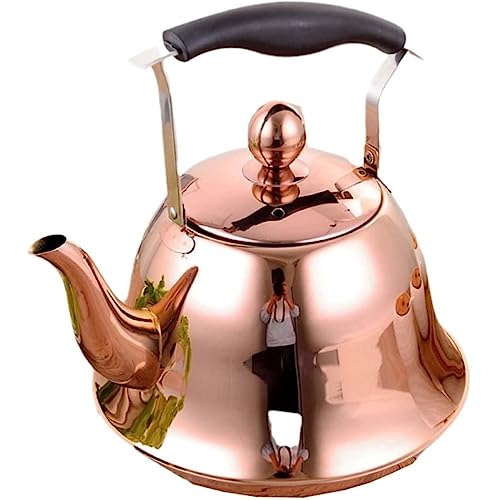 Bouilloire sifflante 5 L : finie l'eau oubliée sur le gaz grâce au sifflet de sécurité