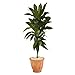 Nearly Natural 4ft. Dracaena Artificial Plant in Terra-Cotta Planter (Real Touch)