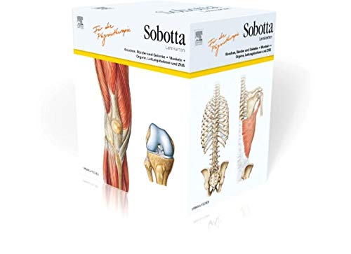 Sobotta Lernkarten für Physiotherapeuten Sobotta Lernkarten für Physiotherapeuten