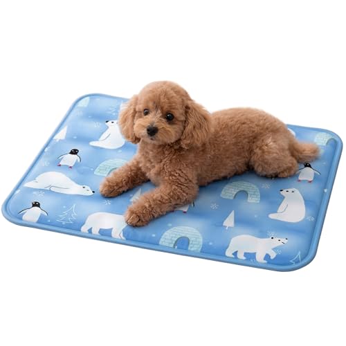 Genki Ice �⊴�W�F���}�b�g �y�b�g�p 40×50cm �� �L ���^���p �Ђ���}�b�g �N�[���}�b�g ��p�}�b�g �� �����΍� �h�� �􂢂₷�� ���킢���f�U�C�� (�k�ɌF)