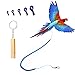 Parrot Bird Harness Leash Anti-bite Outdoor Blue Flying Training Rope with 5pcs Different Sizes of Soft Foot Loops and Training Whistle(Upgraded Version of Ankle Ring)