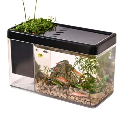 Acquario Betta, Acquario - Acquario Per Pesci Betta Trasparente | Acquario Per Pesci Betta Acquario Da Tavolo Per Lumache, Granchi, Stelle Marine