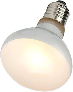 COLLBATH 1 Peça Lâmpada De Calor De Tanque De Tartaruga Lâmpada De Calor De Lagarto Animais De Vidro Répteis Lâmpada De Calor De Répteis Lâmpada De Calor Lâmpada De Aquecimento De Aquário