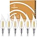 Dimmable Candelabra LED Light Bulbs: 4 Watt, 2700K Warm White Lightbulbs - 40W Equivalent - E12 LED Bulb Base - Flame Tip - 400 Lumen - UL Listed - Indoor or Outdoor LED Candelabra Bulb Set - 6 Pack