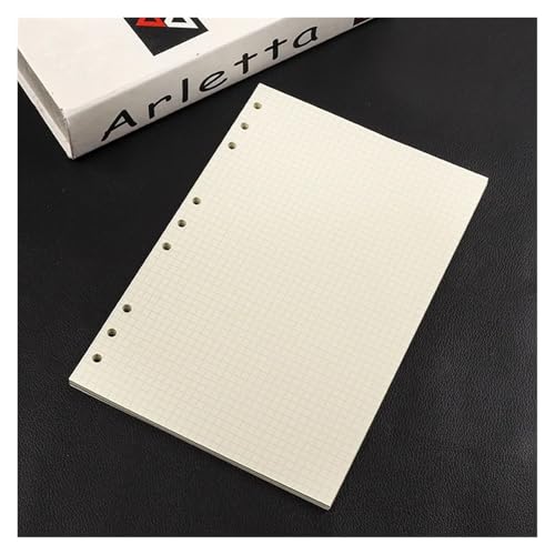 Carnet de notes B5 9 trous rechargeable et planificateur agenda à spirale