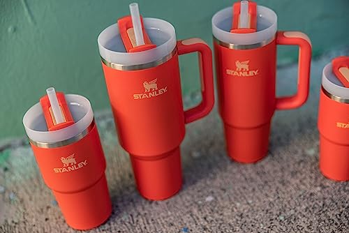 Image of STANLEY Quencher H2.0 Tumbler with Straw 14 oz | Flowstate 3-Position Lid | Cup Holder Compatible for Travel | Insulated Stainless Steel Cup | BPA-Free | Tigerlily