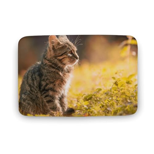 L   oX}bg \tg􂦂 z  փ}bg  O    ~ Aj LN^[ @}bg   ʏ