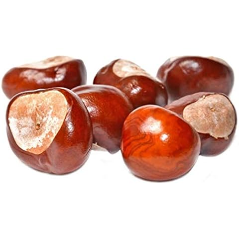 Real Chestnuts, 50 Dry Chestnuts for Crafting, Conkers, DIY, Autumn Decorations Cover