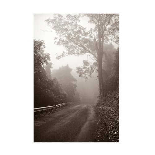 Trademark Fine Art 'Foggy Journey' Canvas Art by Beata Czyzowska
