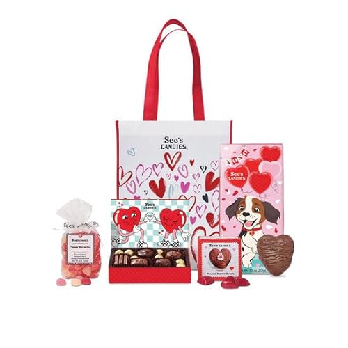 See's Candies 1 lb 9 oz Valentine's Day Lotsa Love