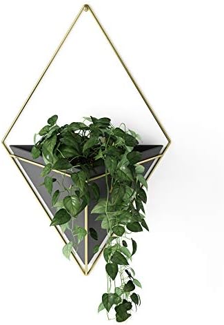 Umbra Trigg Hanging Planter Vase & Geometric Wall Decor Ceramic Container - Great For Succulent Plants, Air Plant, Mini Cactus, Faux Plants and More, Large, Black/Brass