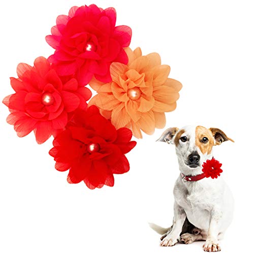 BIPY 4 collares de 8 cm para niñas pequeños y niñas, accesorios de fijación de diapositivas, lazos de flores, colgantes decorativos para disfraces de aseo de mascotas y gatos
