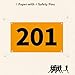 UISKOOPW Race Bib Numbers for Tryouts,Running Bibs for Races, Marathon Bibs,Tyvek Racing Bibs with Pins,Track & Field Competitor Audition Road ID Bibs Paper for Sports Events (Number 201-300)