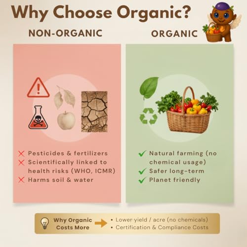 Image of Earthen Story Certified Organic Cold Pressed Groundnut Oil, 4L