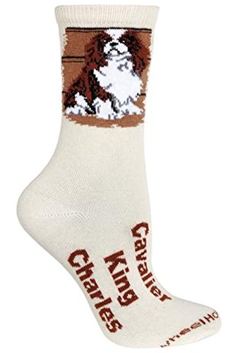 Cavalier King Charles Spaniel Cane Design - Calze