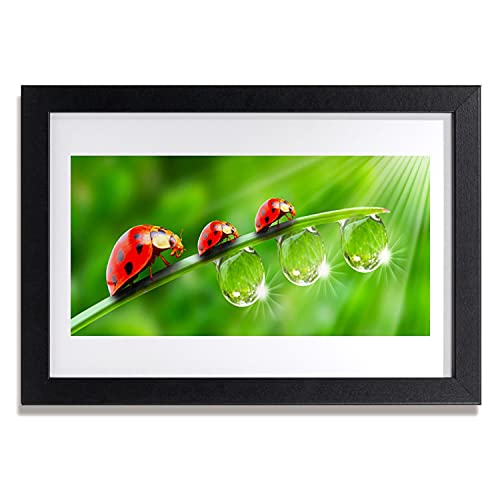 Affiche encadrée 30x20 cm Tulup pour habiller un mur vide avec une photo de nature