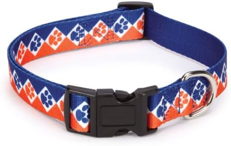 Casual Canine Polyester Collegiate Paws Dog Collar, 14-20-Inch, Blue/Orange