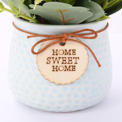 Image of TIED RIBBONS Artificial Rose Flower Plant with Pot (Blue, 6.6 Inch) Home Decor Items for Living Room Balcony Kitchen Bedroom Office Table Top Decoration Gifting Item