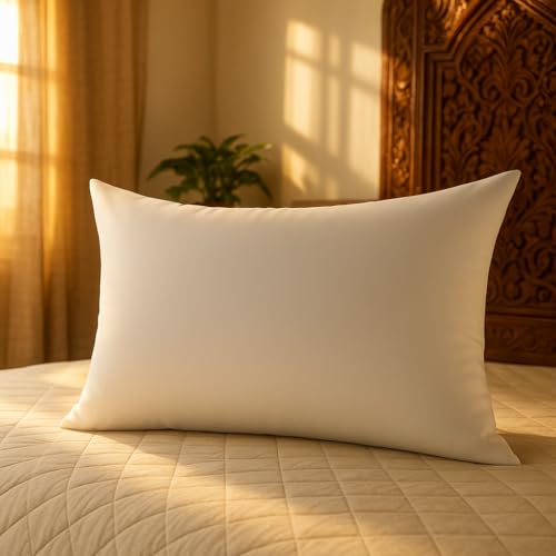 Image of Daily Use Sleeping Pillow | Pillow Inserts | 16x24 Inch | Super Soft Fabric (16x24 Inch, 2, Count, 2, Pack of 2)