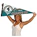 Coastal Carolina Chanticleers 2025 College Baseball Series Pennant Flag