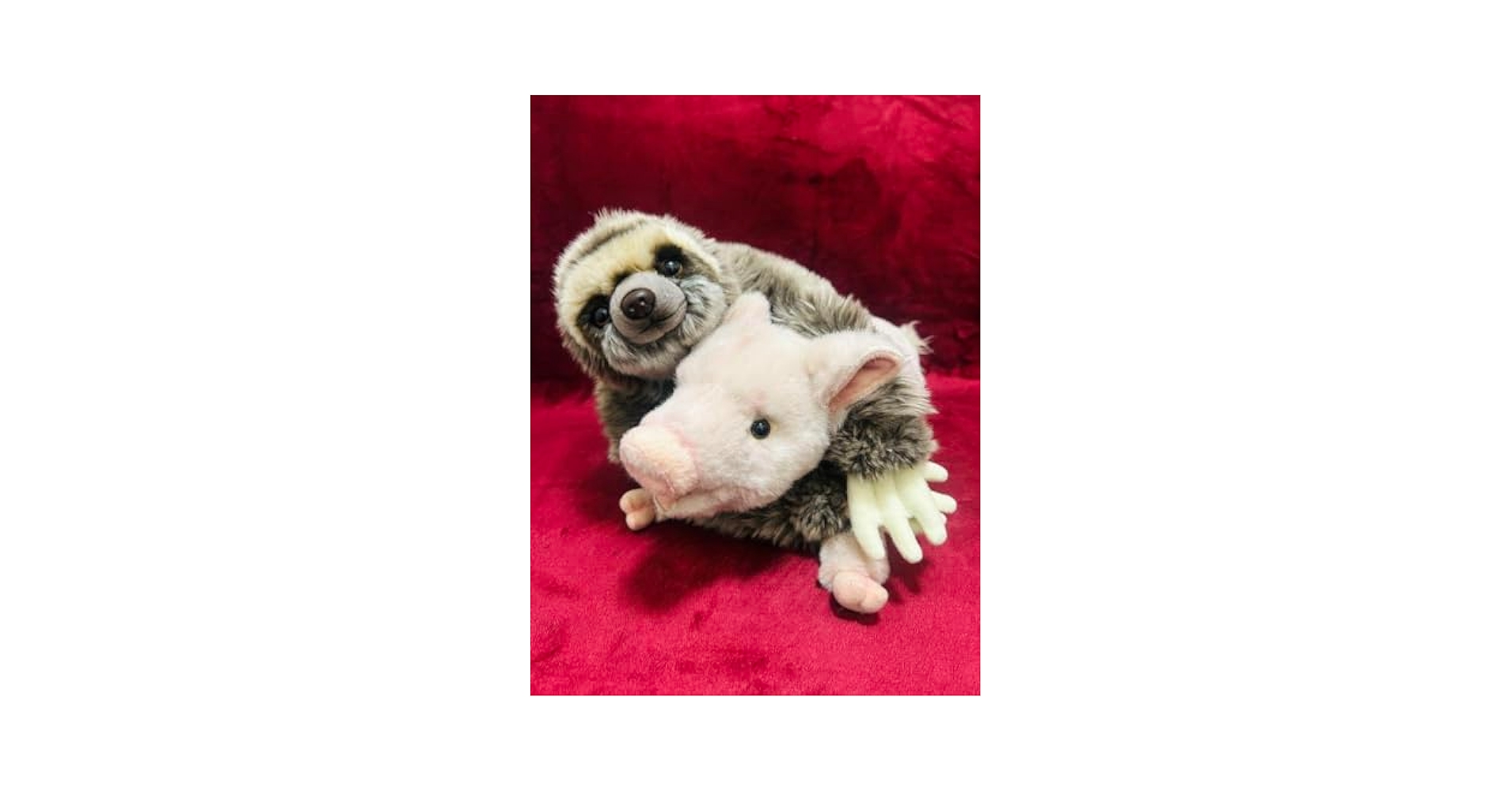 HANSA ブタ ワイルドライフアニマルズサンアロー ナマケモノ ぬいぐるみ Amazon.co.jp: HANSA ブタ ワイルドライフ アニマルズ