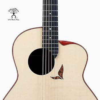 Amazon | アヌエヌエ アコースティックギター aNueNue aNN-LS800