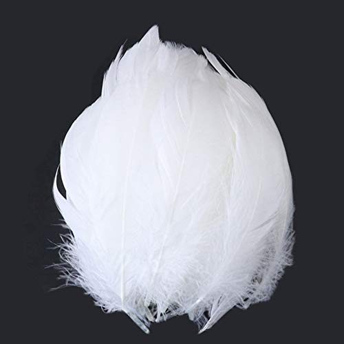 XNFIVE 500 Stück Weiß Federn, 8-12 cm Natürliche Schöne Gänsefedern Dekor Gans Feder zum Basteln für DIY Kunsthandwerk Hüte Masken Kostüme Traumfänger Hochzeit Home Geburtstag Party Dekoration Cover