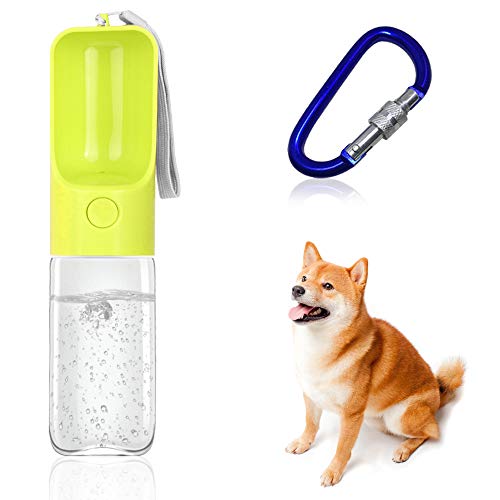 Le migliori borracce portatili per il cane - Dog Shop