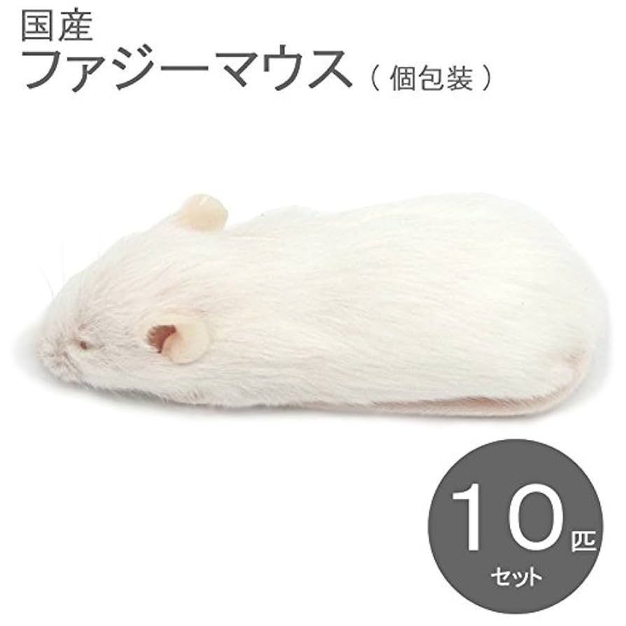 aoi＊　送料無料　冷凍マウスファジー20匹リタイア10匹 Amazon | 冷凍マウス ファジー M 20匹 国産 SAfarm | SAfarm