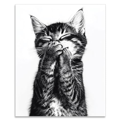 SUPERDANT Affiche Decoration Murale de Chats en Noir et Blanc Affiches D'Art Mural Vintage Impressions de Rire de Chaton Poster Mural Tableaux, Posters et Arts...