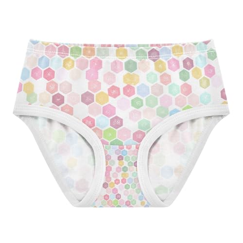 Hexagons Shades Pink Toddler Girls's Underwear 2T 202c1623